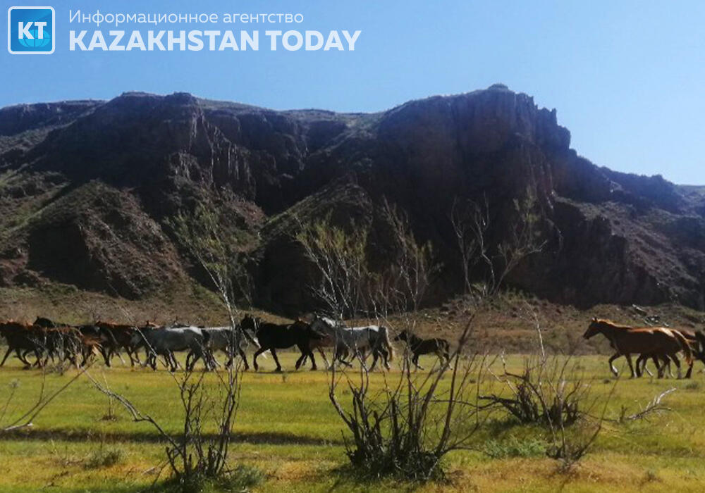 В Казахстане создан новый национальный парк