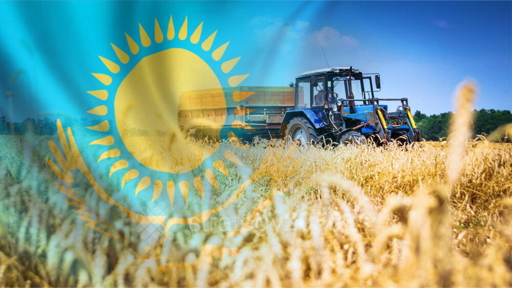 В РК в январе - ноябре производство сельхозпродукции сократилось на 2,5%