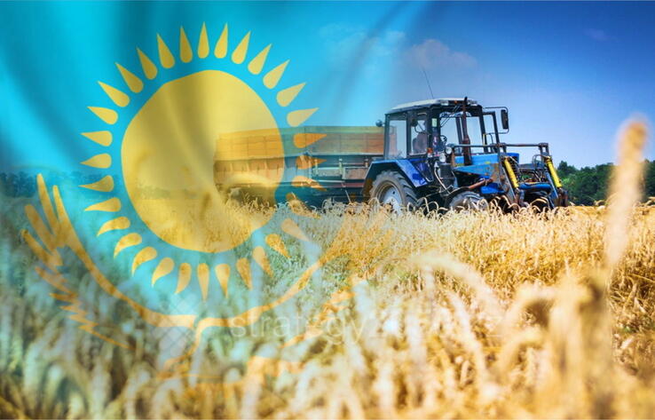 В РК в январе - ноябре производство сельхозпродукции сократилось на 2,5%