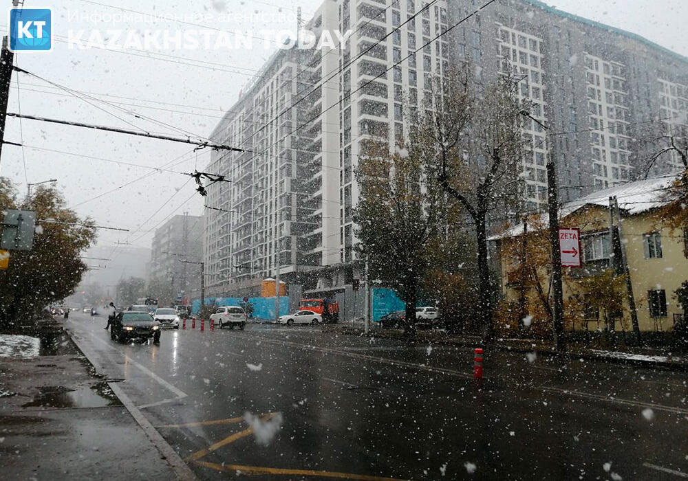 Туман и метель прогнозируют в Казахстане