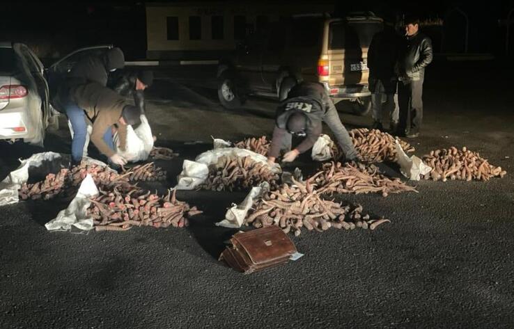 Задержаны браконьеры в связи с массовым убийством сайгаков