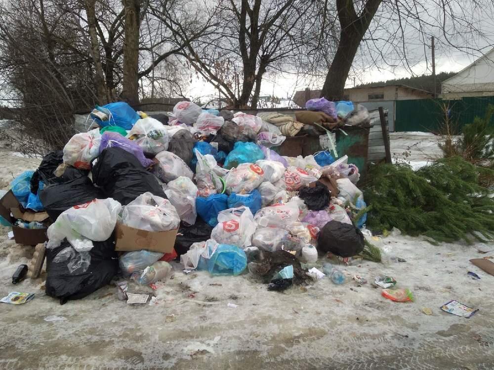 Причиной нападения неустановленного животного на девочку в поселке Лесхоз стало бездействие местных властей