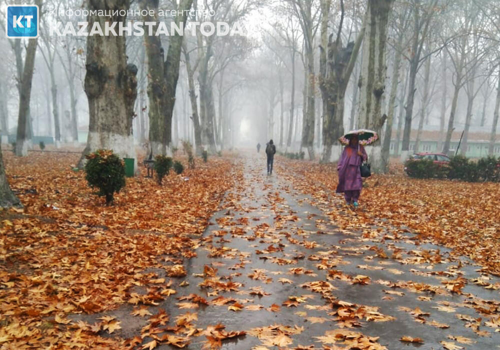 В девяти областях объявили штормовое предупреждение