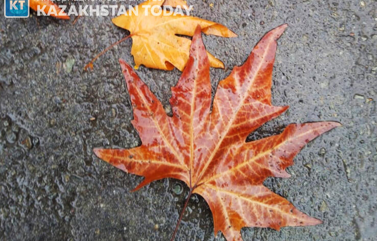 В большинстве регионов Казахстана ожидаются осадки