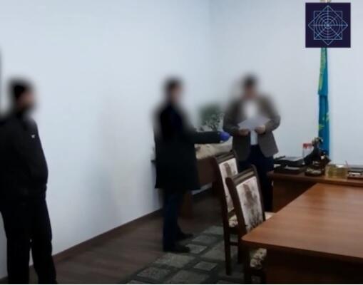 Туркестанские сельхозпредприятия незаконно получили субсидии на 380 млн тенге