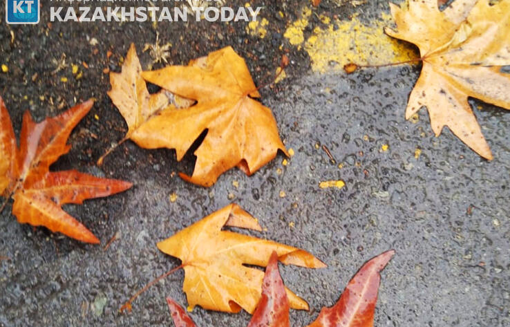 В большинстве областей Казахстана ожидается погода без осадков