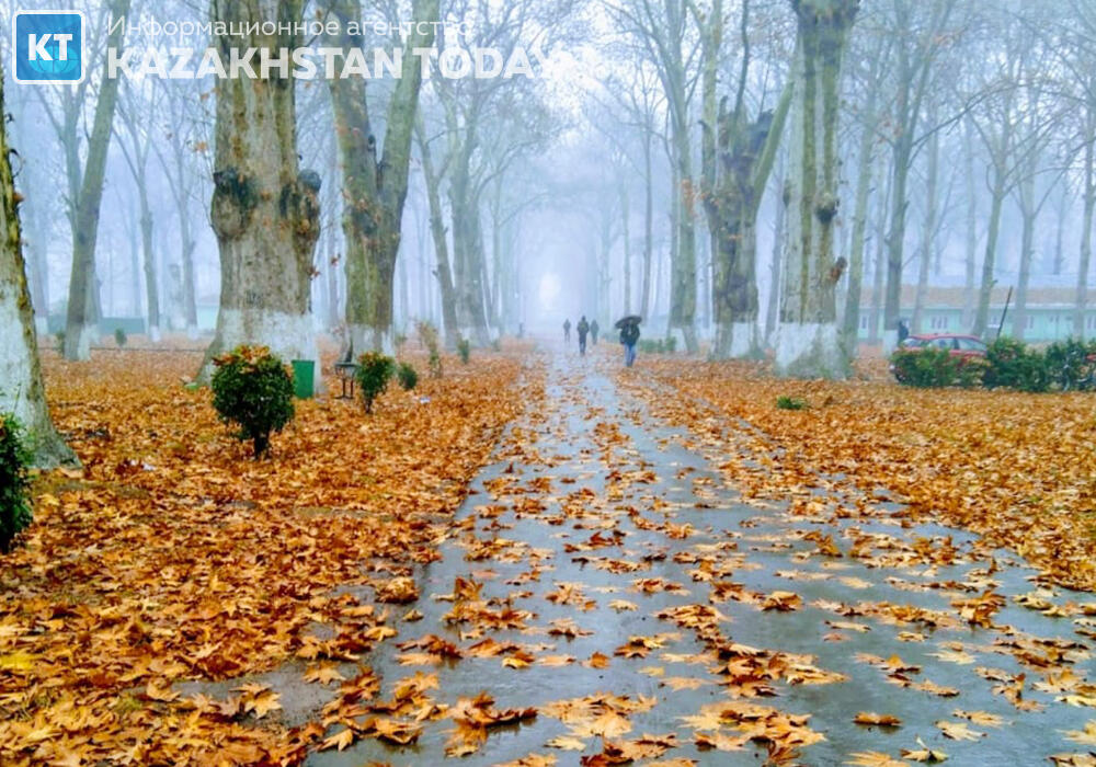 В большинстве регионов Казахстана в среду ожидаются осадки