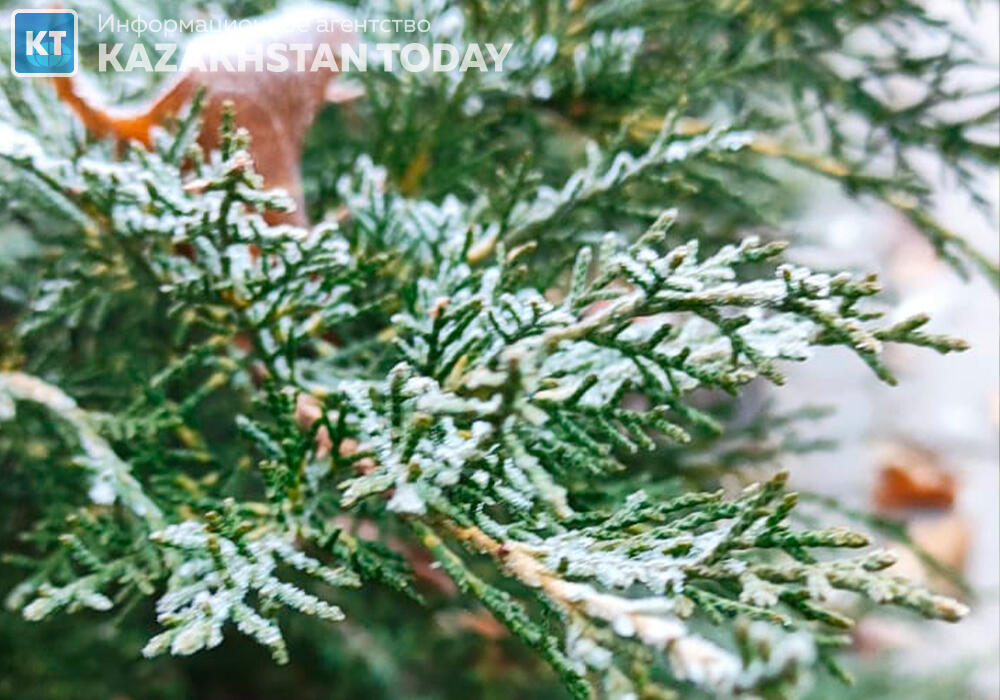 Понижение температуры до 33 градусов мороза прогнозируют синоптики