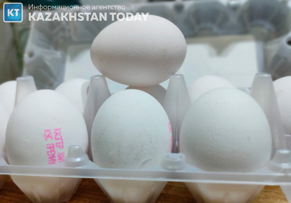 На предмет ценового сговора проверяют 7 казахстанских птицефабрик