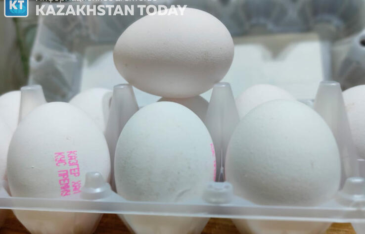 На предмет ценового сговора проверяют 7 казахстанских птицефабрик