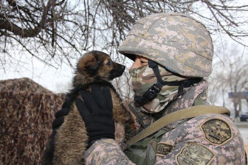 Минобороны: на блокпост к военнослужащим в Алматы пришел щенок. Фото: Минобороны РК