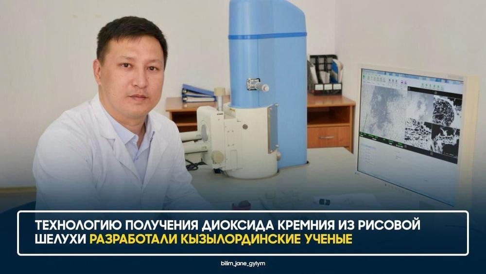 Казахстанские ученые разработали технологию получения диоксида кремния из рисовой шелухи