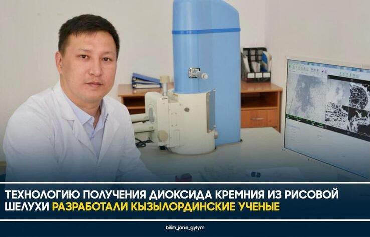Казахстанские ученые разработали технологию получения диоксида кремния из рисовой шелухи
