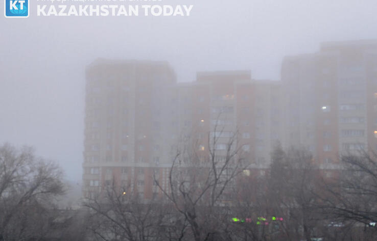 Из-за тумана в четырех областях объявили штормовое предупреждение 