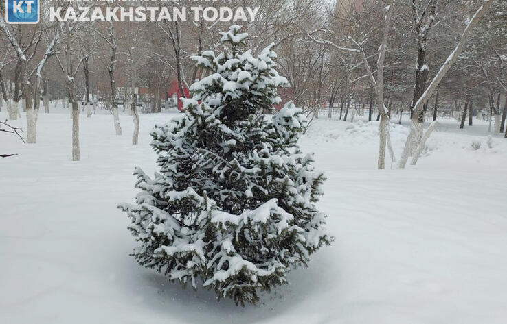 Какая погода ожидается в Казахстане во вторник