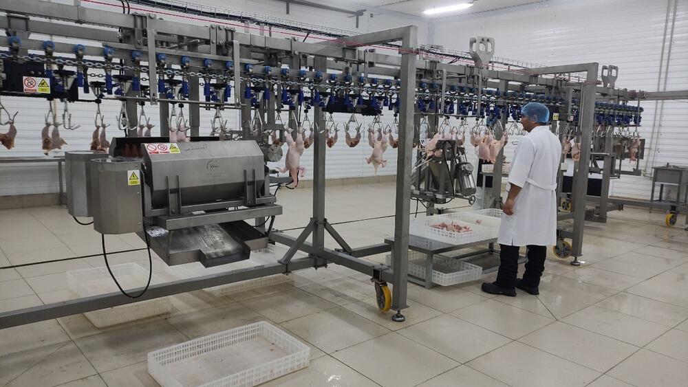 В Акмолинской области начала работу новая птицефабрика