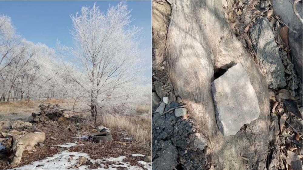 В Алматы обнаружили два схрона боеприпасов . Фото: Polisia.kz