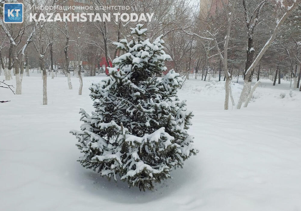 Синоптики прогнозируют осадки в большинстве регионов Казахстана 