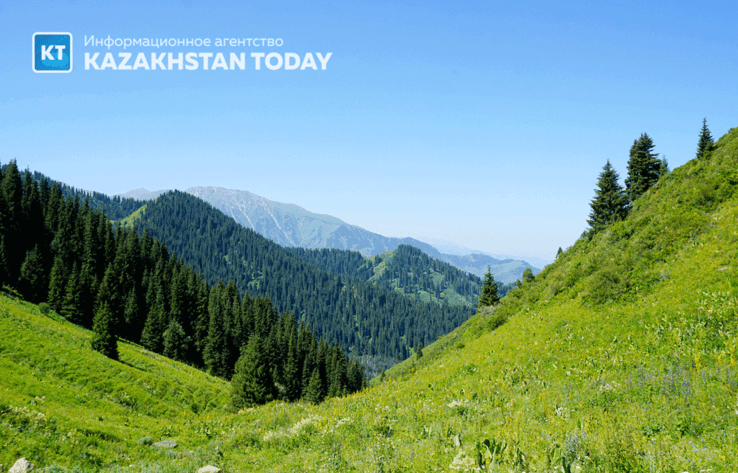 Урочище Кок-Жайляу вернули Иле-Алатаускому национальному парку