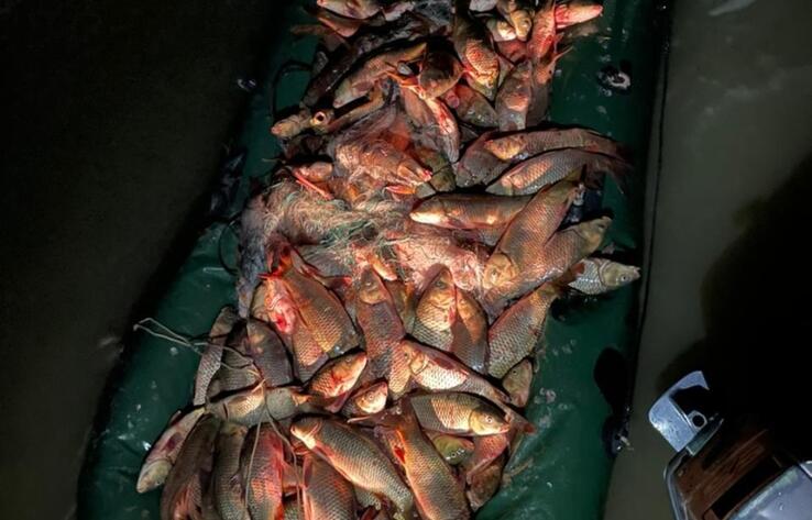 Браконьеров с 600 кг рыбы задержали в Туркестанской области