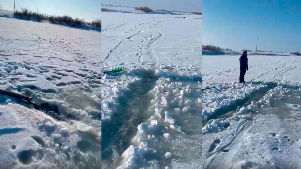 В Минэкологии прокомментировали гибель рыбы в реке Есиль. Фото: кадр с видео