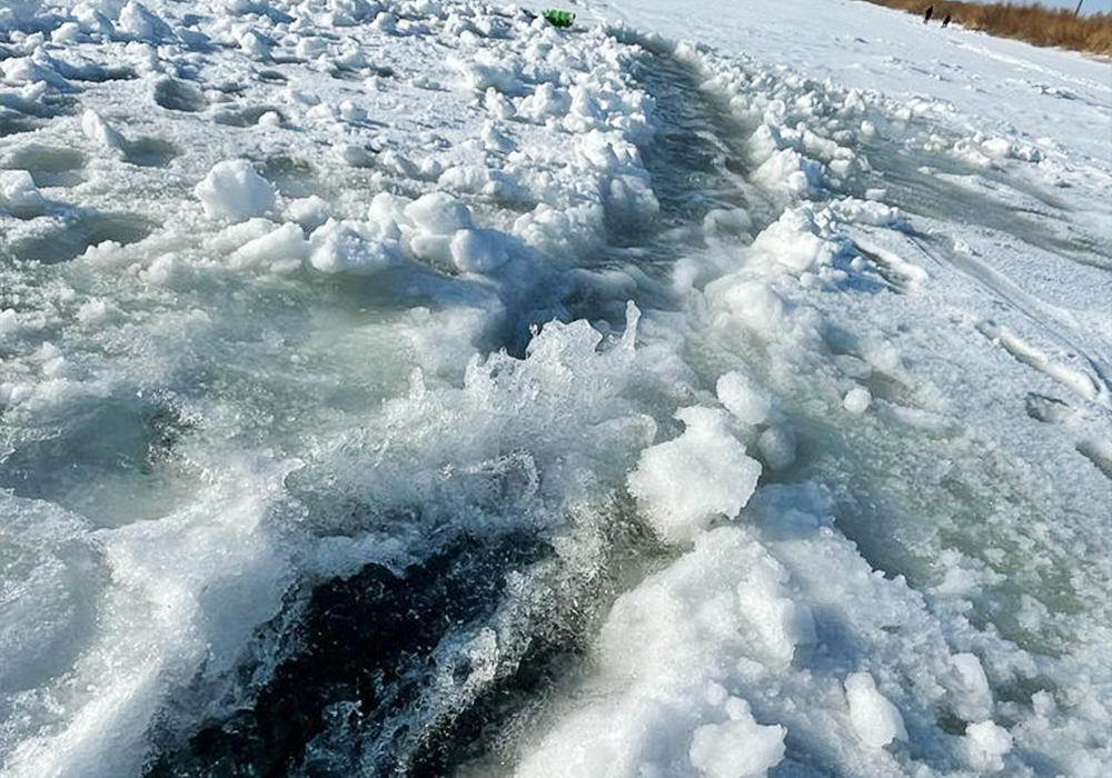Экология министрлігі Есіл өзеніндегі балықтардың қырылуына қатысты түсініктеме берді. Сурет: Балық шаруашылығы комитетінің баспасөз қызметі