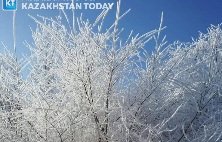 В большинстве регионов Казахстана в четверг ожидается погода без осадков