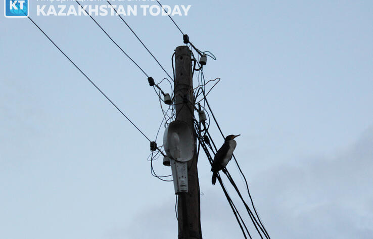 В Казахстане показатель износа в электропроизводящих организациях составляет 53%