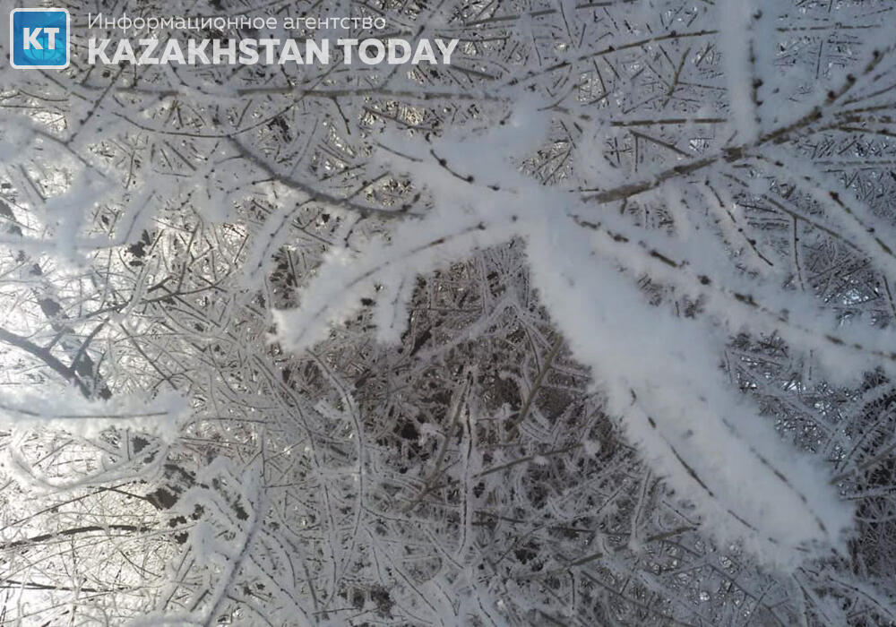 Погоду без осадков обещают синоптики в субботу 