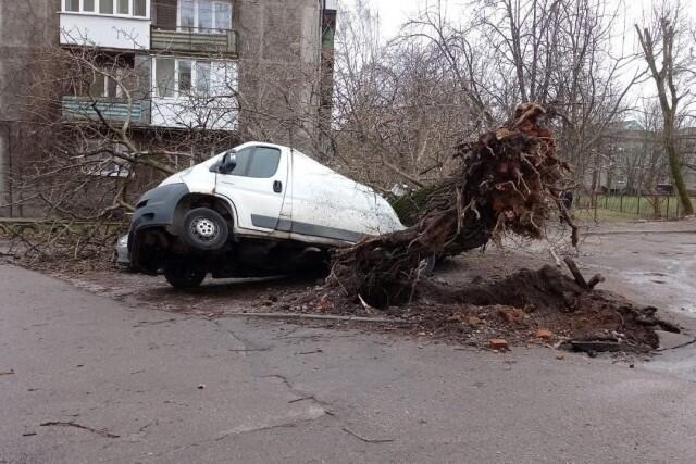 Очередной шторм пришел в Калининградскую область. Фото: администрация Калининграда / Facebook