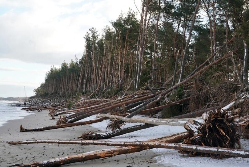 Очередной шторм пришел в Калининградскую область. Фото: Правительство Калининградской области