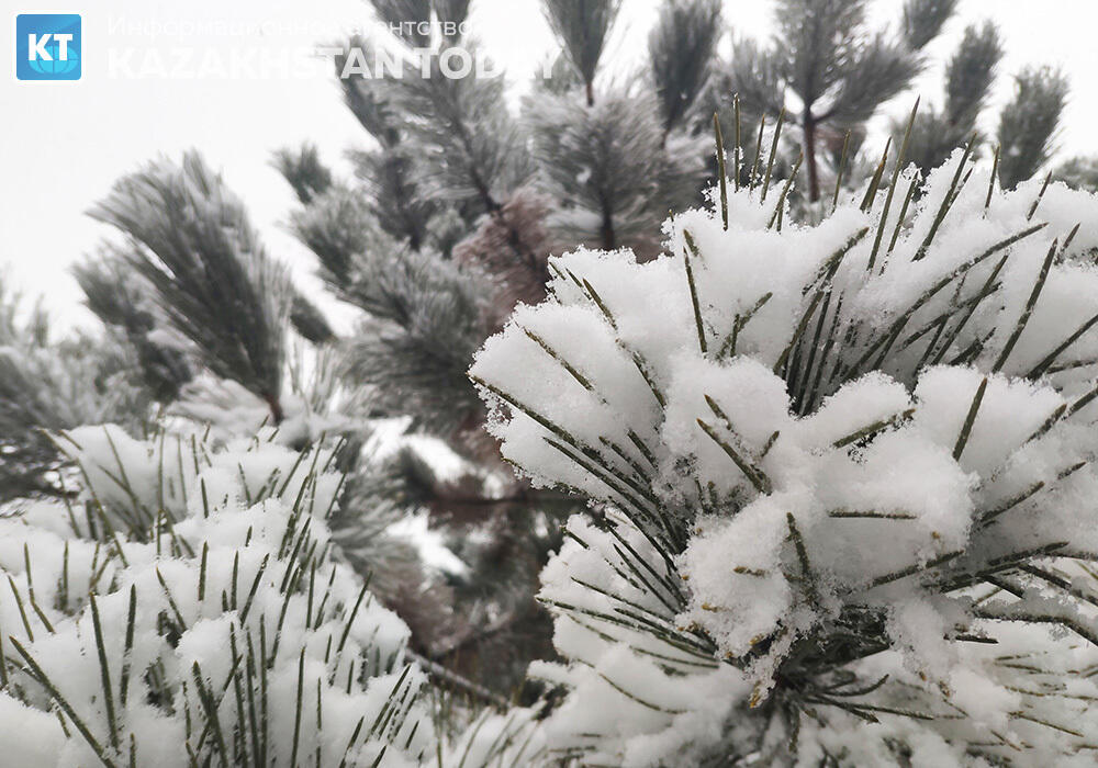 Синоптики рассказали, какая погода ждет казахстанцев в среду