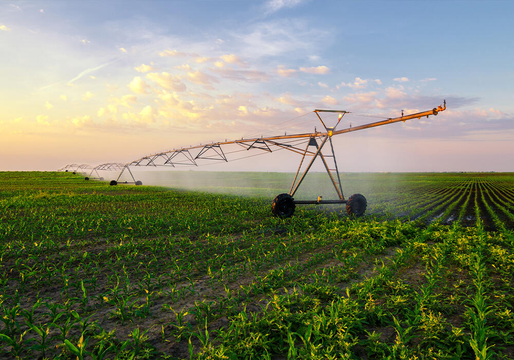 В Казахстане могут возникнуть проблемы с обеспечением водой фермеров двух областей