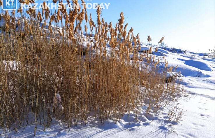 Синоптики рассказали о погоде в Казахстане во вторник