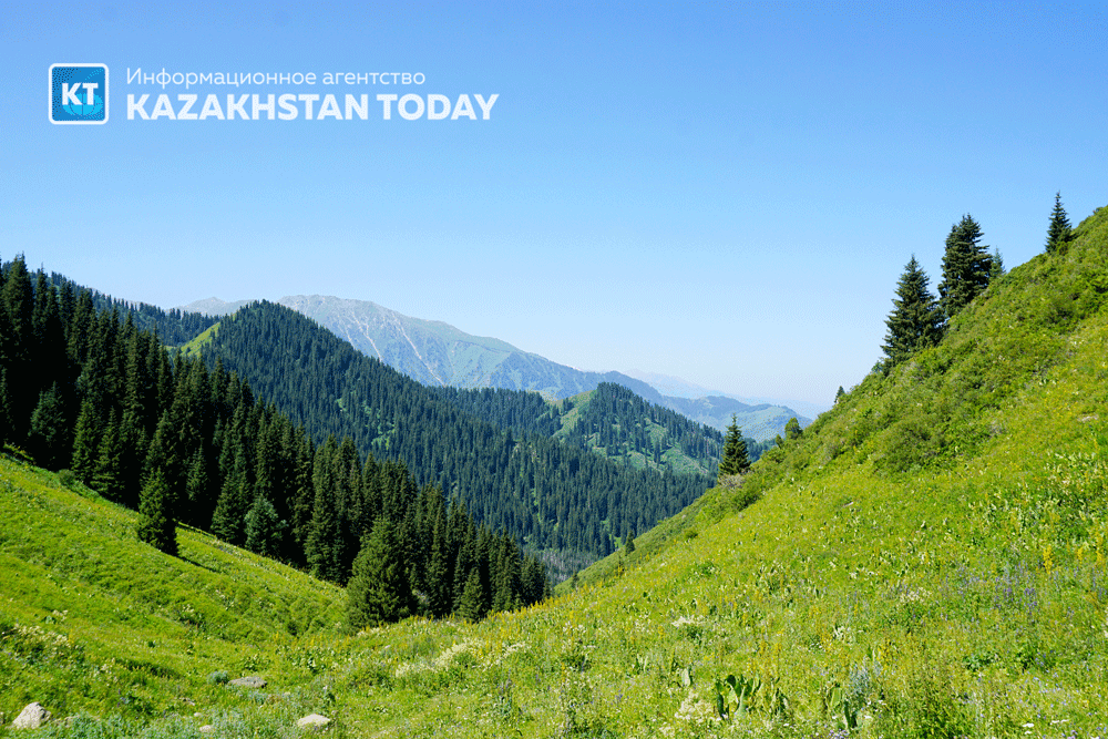 Қазақстанда ерекше қорғалатын табиғи аумақтардың мемлекеттік кадастрын жүргізу қағидалары бекітілді