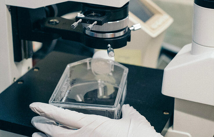 Китай призвал США прояснить деятельность военных биолабораторий на Украине