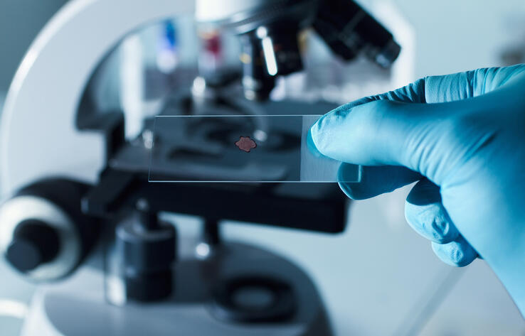 Украинские биолаборатории готовили "безрассудные эксперименты" 