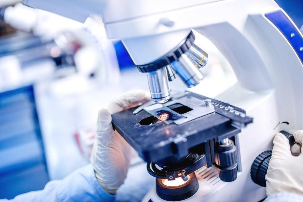 В мире насчитывается более 300 биолабораторий с участием США - МИД РФ 