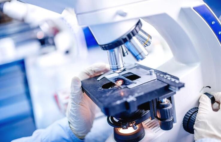 В мире насчитывается более 300 биолабораторий с участием США - МИД РФ 