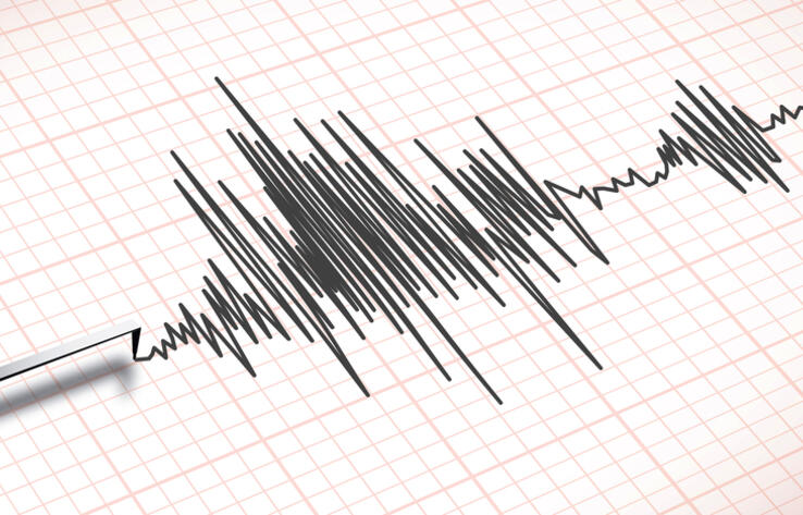 Землетрясение магнитудой 5 зарегистрировано в 640 км от Алматы