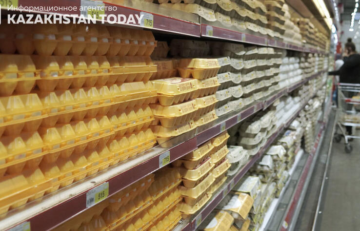 В МСХ не прогнозируют роста цен на яйца и курицу