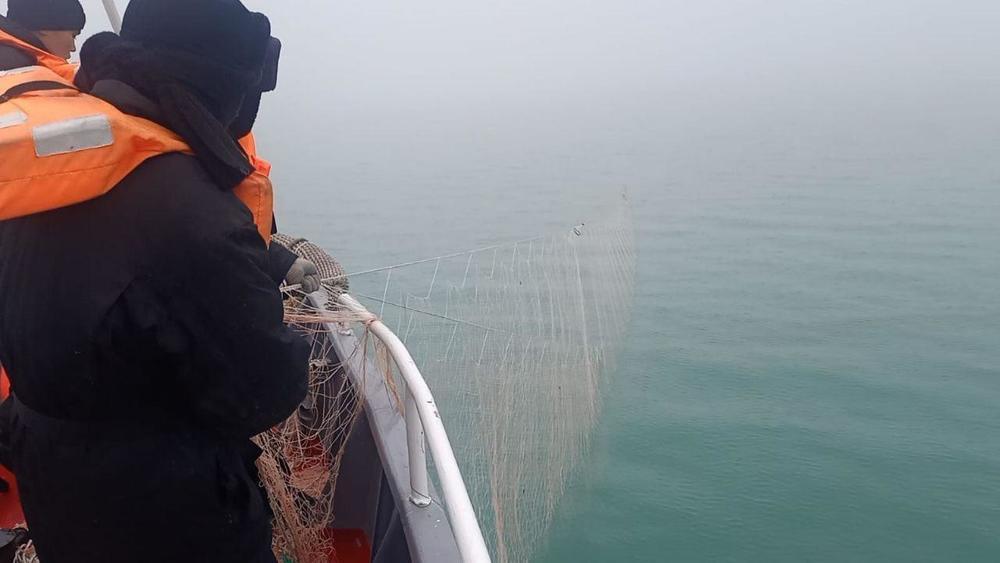 Пограничники предотвратили ущерб государству в размере более 604 млн тенге. Фото: пресс-служба КНБ РК