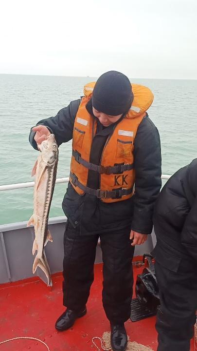 Пограничники предотвратили ущерб государству в размере более 604 млн тенге. Фото: пресс-служба КНБ РК