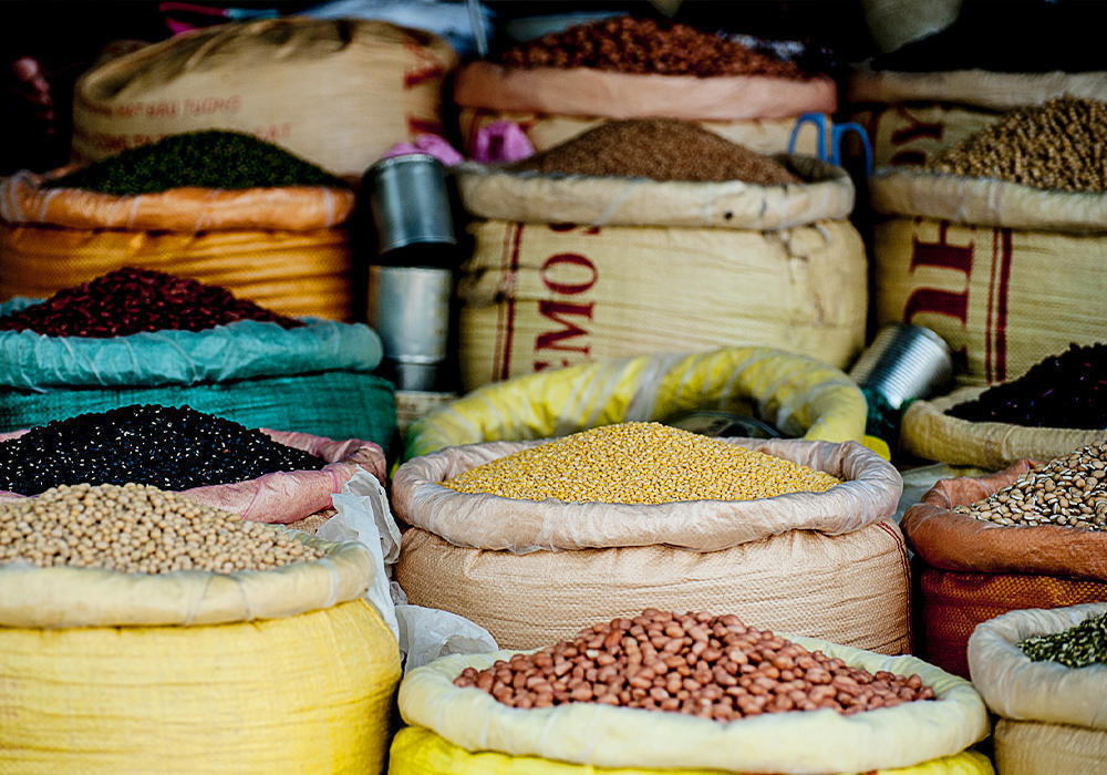 ҚР Ауыл шаруашылығы министрлігі Ресей мен Еуропадан тұқым жеткізу мәселесін шешуде