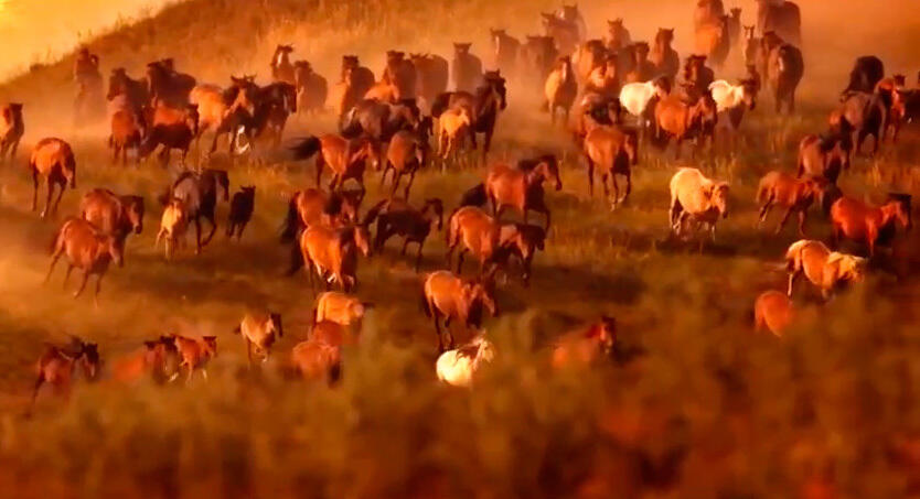 Жаңа Қазақстанды салиқа мен сабырдан бастайық