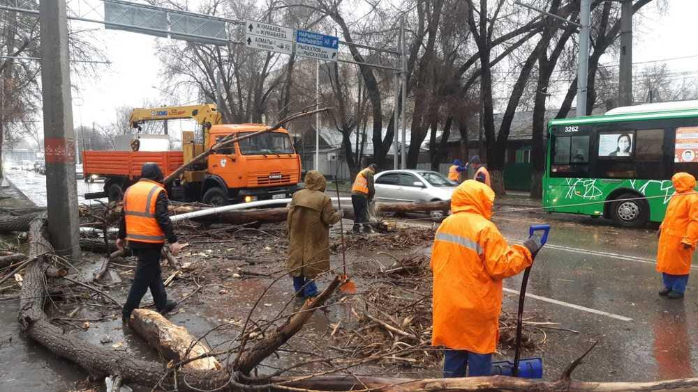 В Алматы в результате урагана пострадали двое мужчин . Фото: ДЧС Алматы
