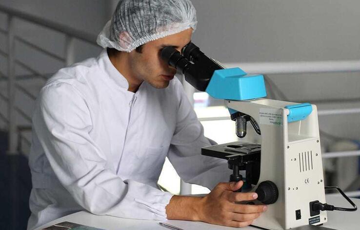 Минобороны РФ заявило о причастности Пентагона к созданию биооружия на Украине