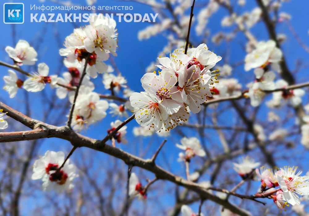 Синоптики рассказали, какая погода ожидается в Казахстане в апреле
