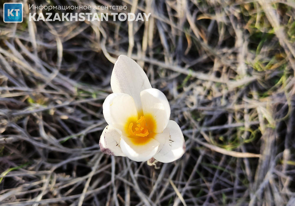 Синоптики рассказали, какая погода ожидается в Казахстане в воскресенье 