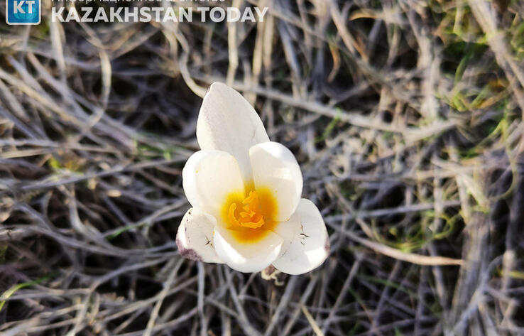 Синоптики рассказали, какая погода ожидается в Казахстане в воскресенье 